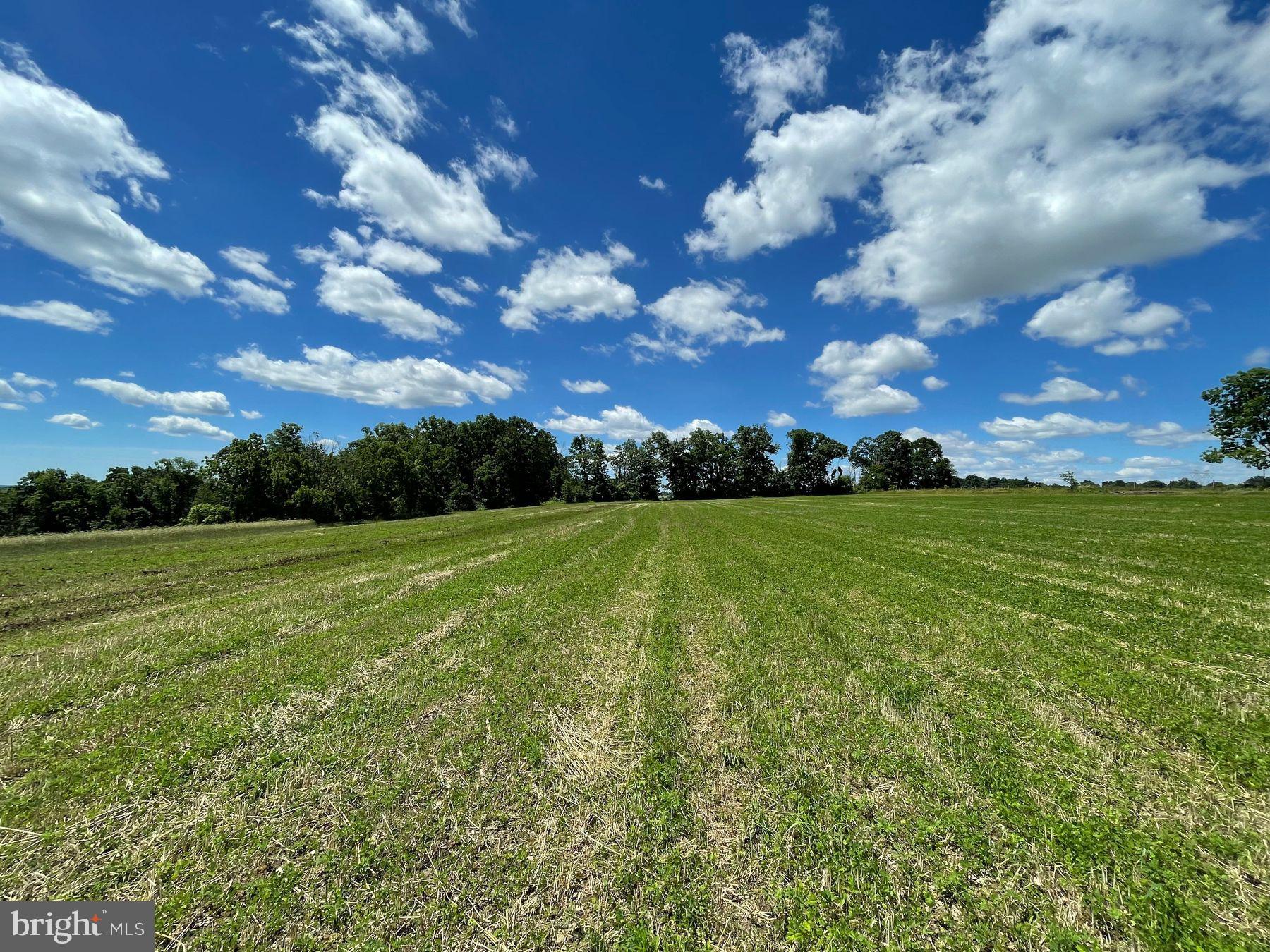 LOT 1 CURLY HILL ROAD