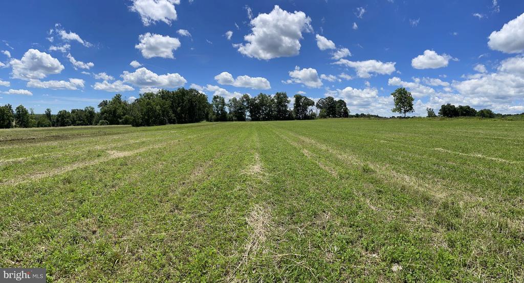 LOT 1 CURLY HILL ROAD