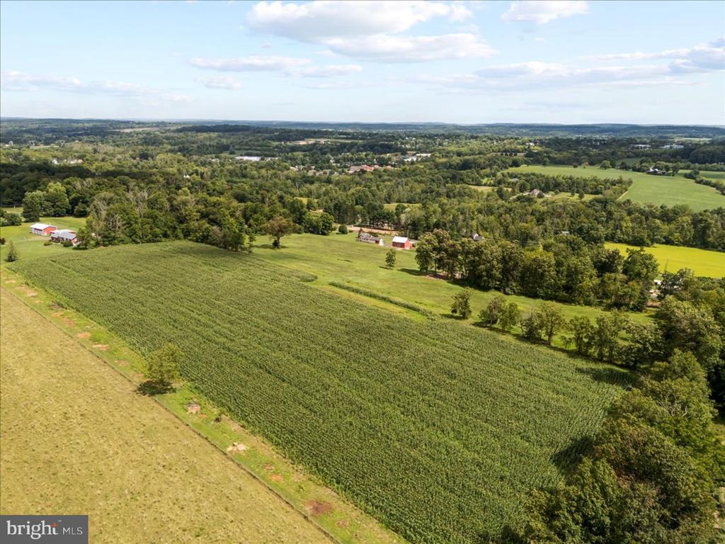LOT 1 CURLY HILL ROAD