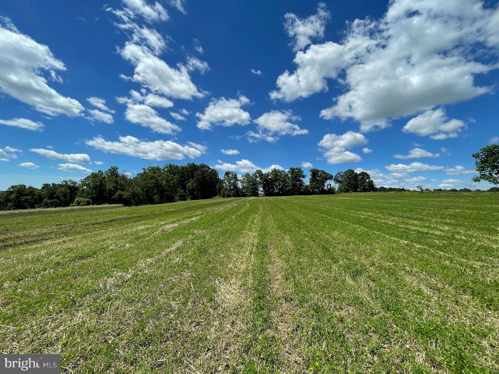 LOT 1 CURLY HILL ROAD