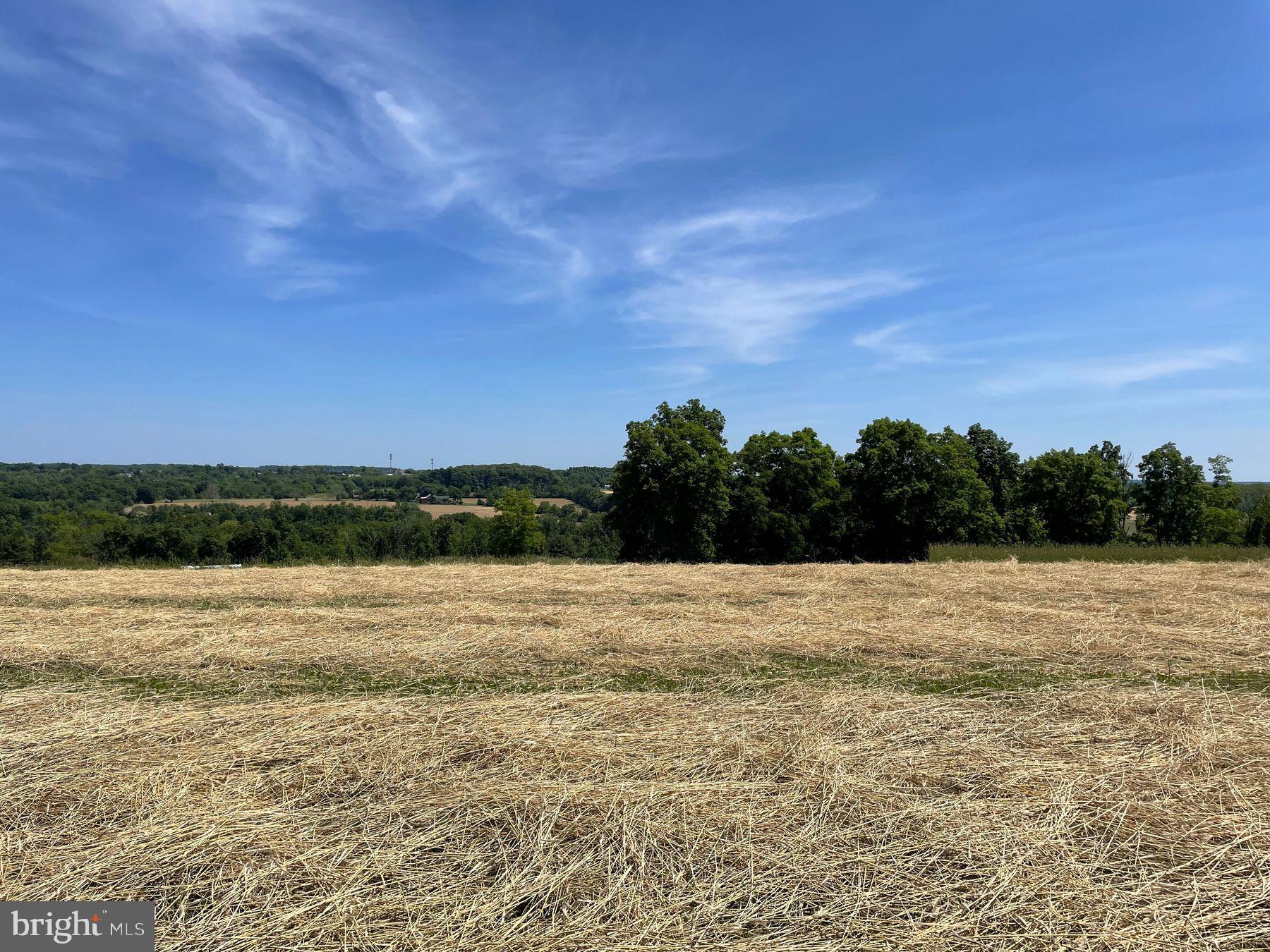 LOT 2 CURLY HILL ROAD