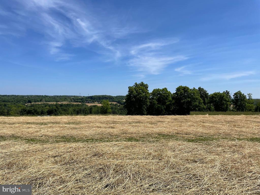 LOT 2 CURLY HILL ROAD