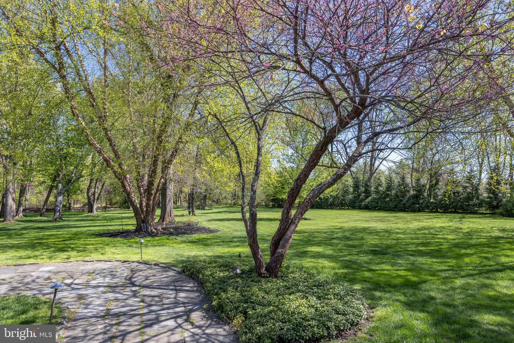 5447 CARVERSVILLE ROAD