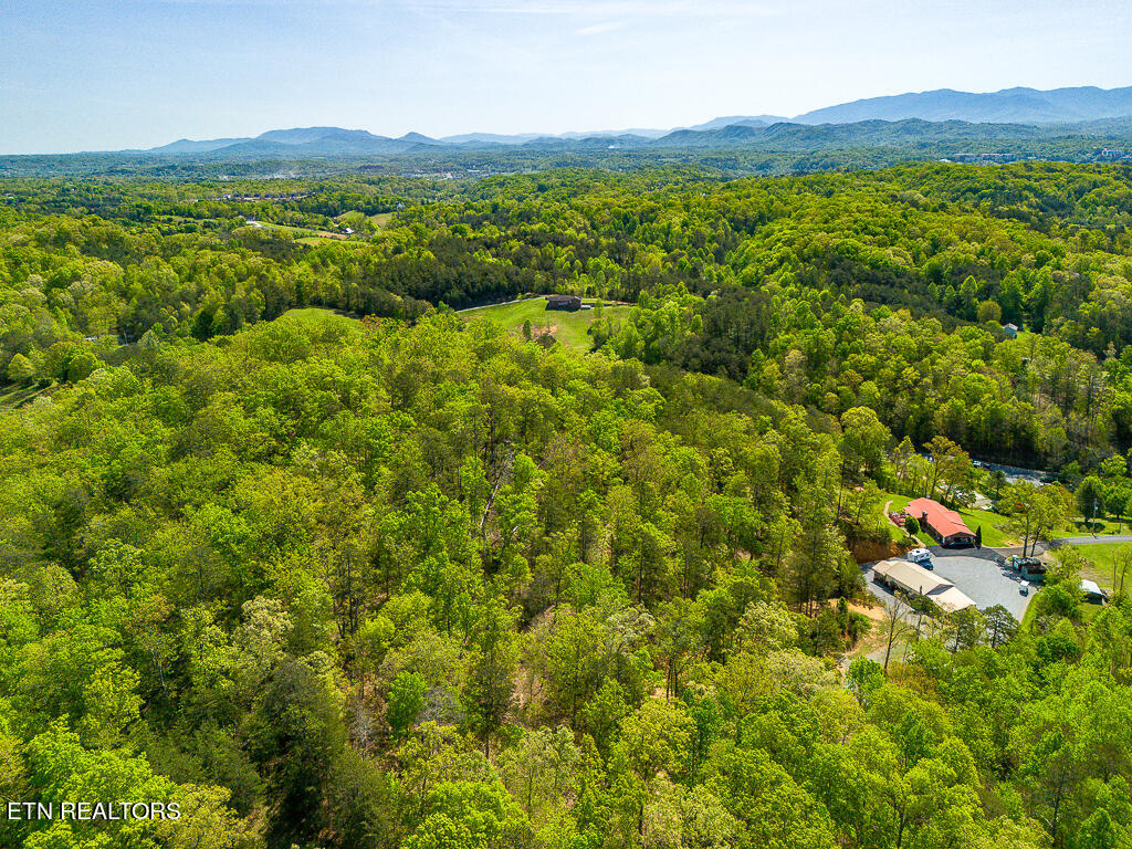 1009 Franklin Lane