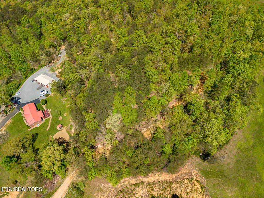 1009 Franklin Lane