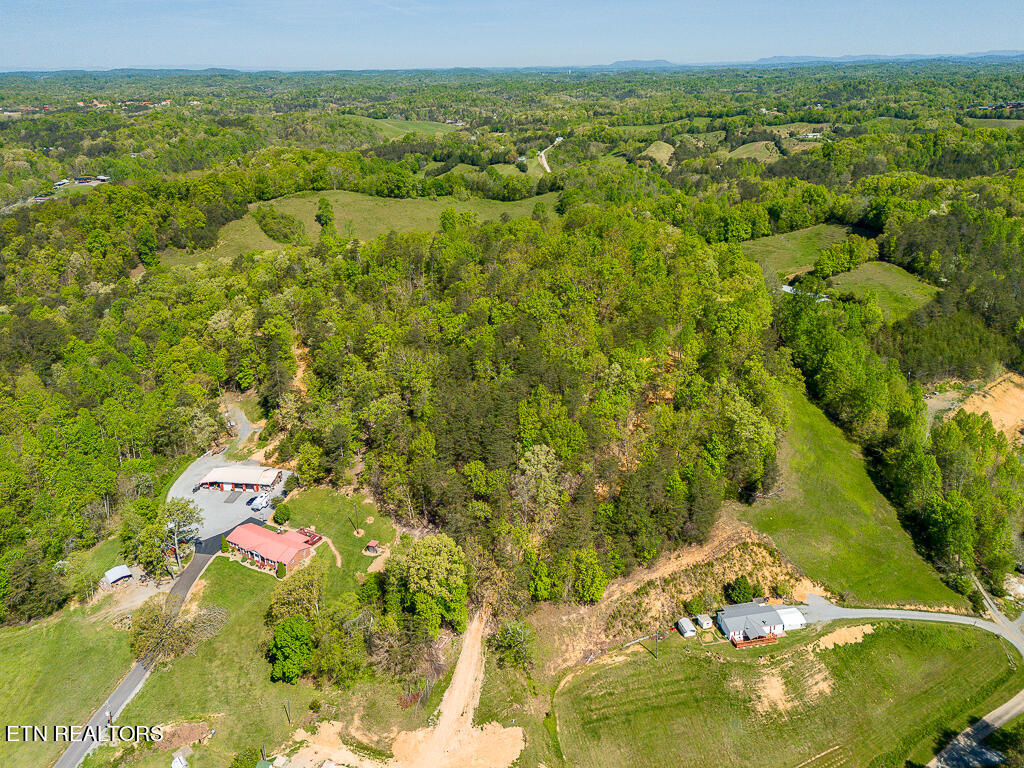 1009 Franklin Lane