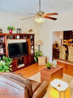 1041 Fine Glen Drive