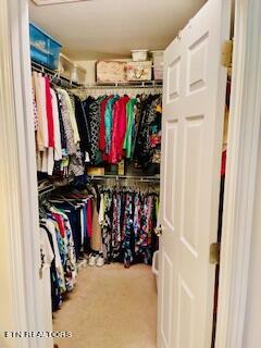 1041 Fine Glen Drive