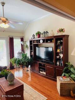 1041 Fine Glen Drive