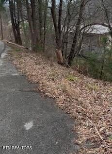 Sleepy Hollow Rd