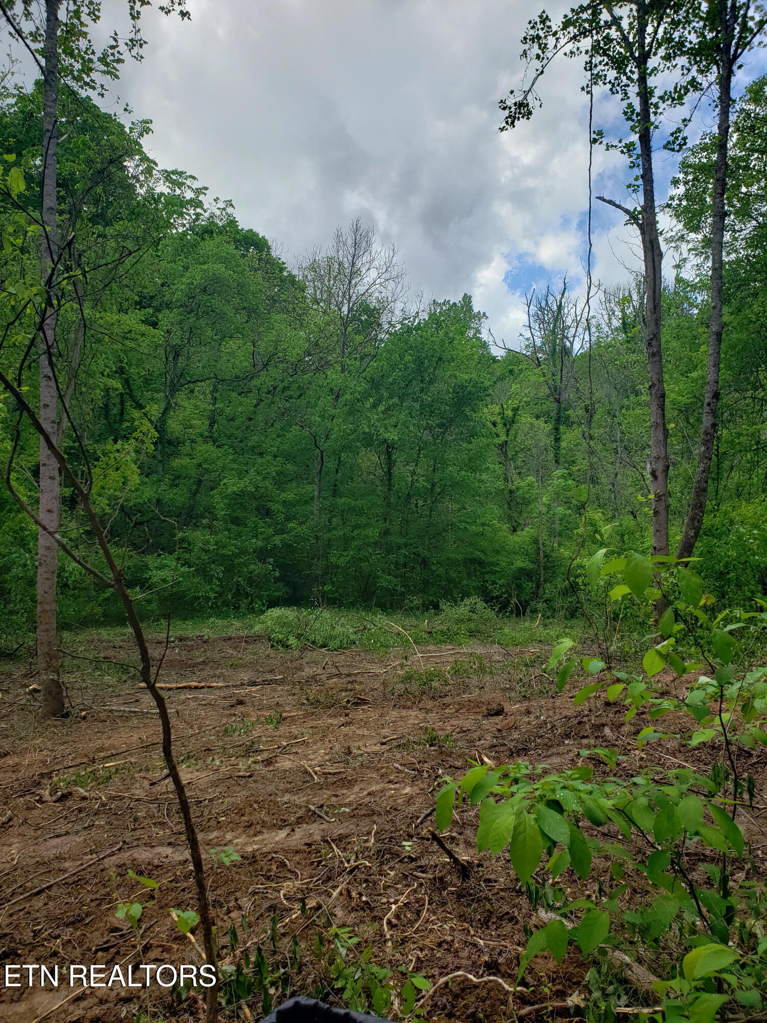 397 Moore Hollow Rd