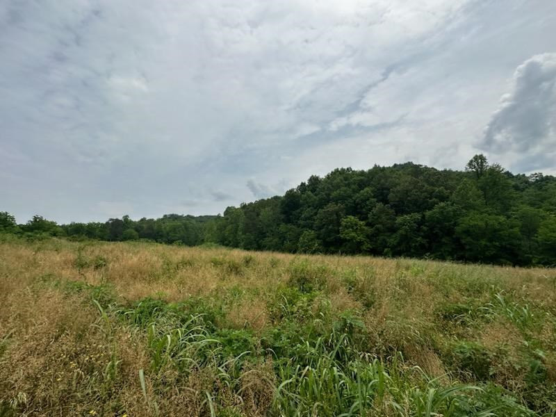 1065 Stanton Road Road