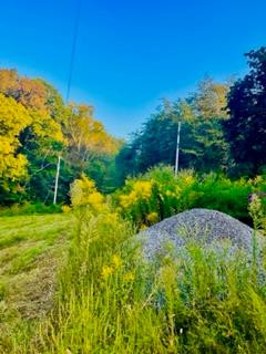 1065 Stanton Road Road