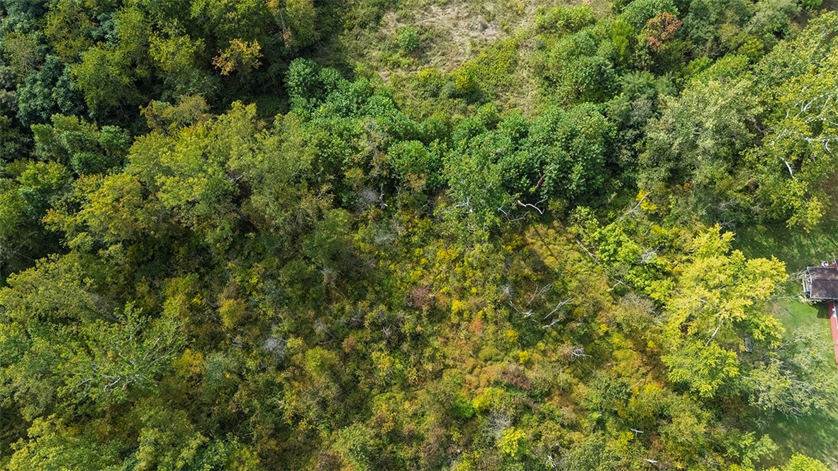 0 Old State Route 982