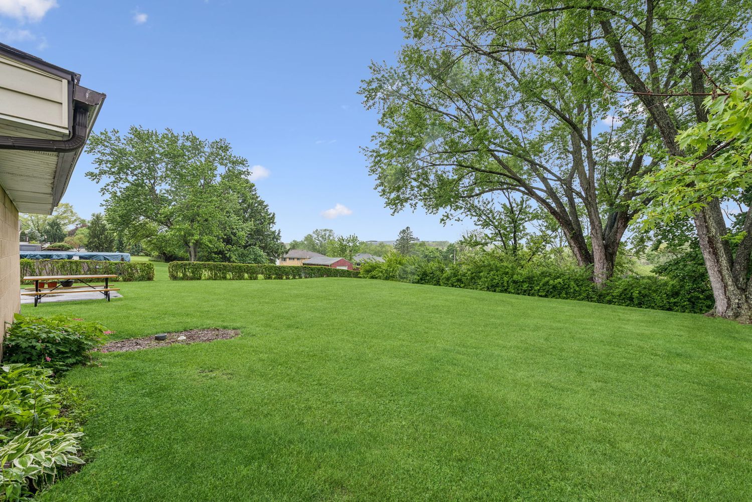 223 E Patty LANE