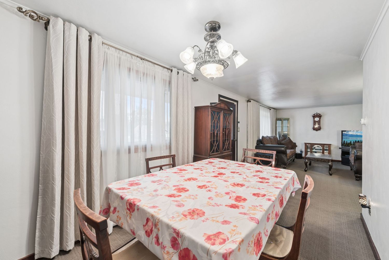 223 E Patty LANE