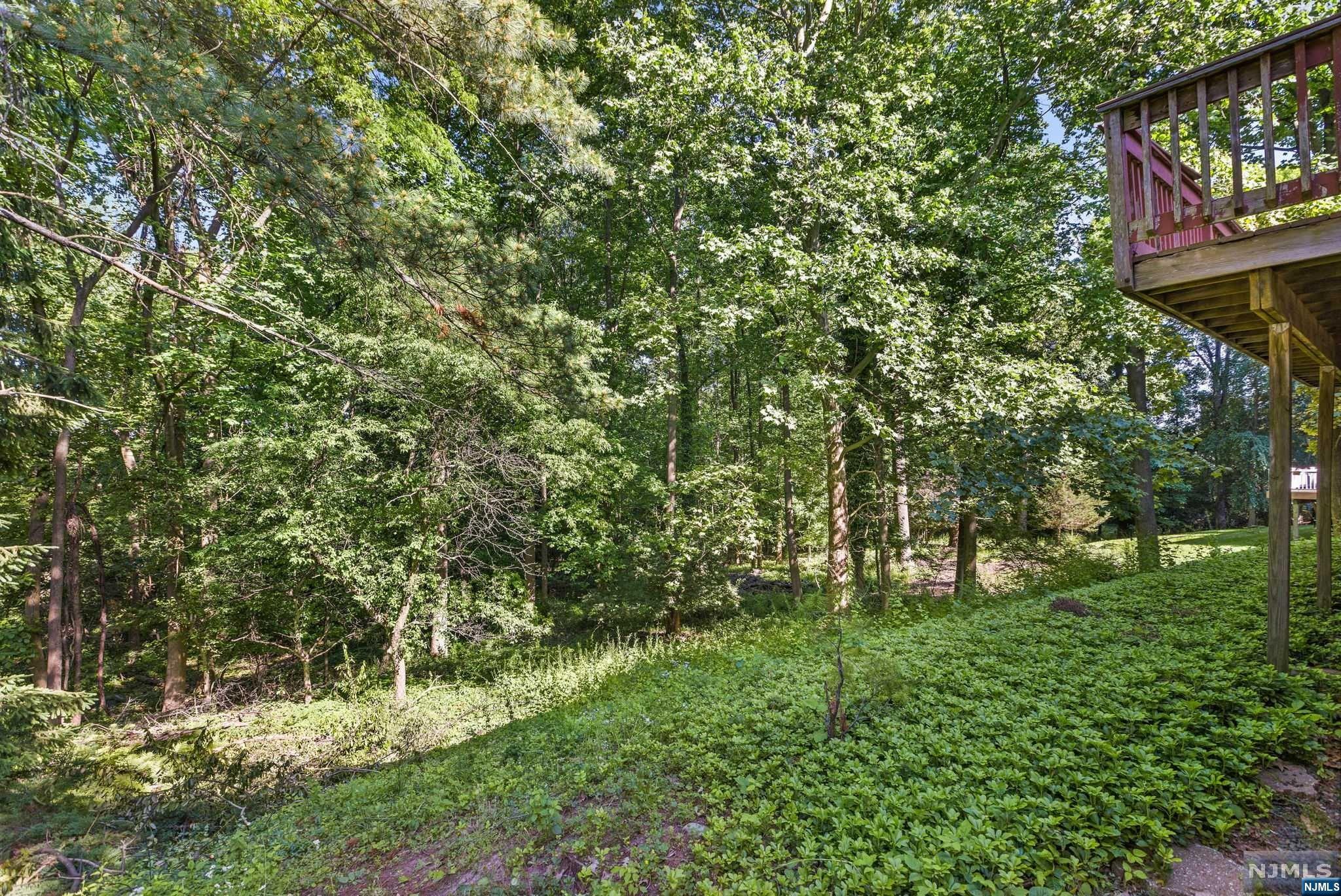 91 Douglas Drive