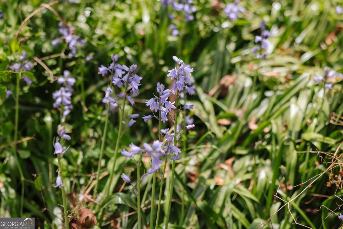 2866 Booger Hill Road