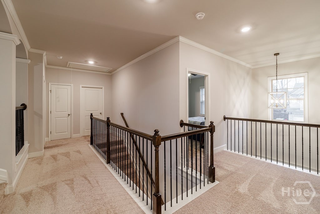 1107 Ruddy Duck Drive