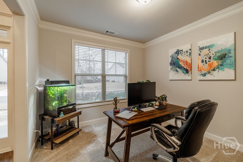 1107 Ruddy Duck Drive