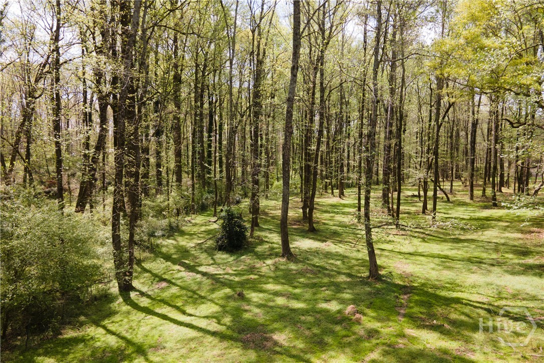 2866 Booger Hill Road