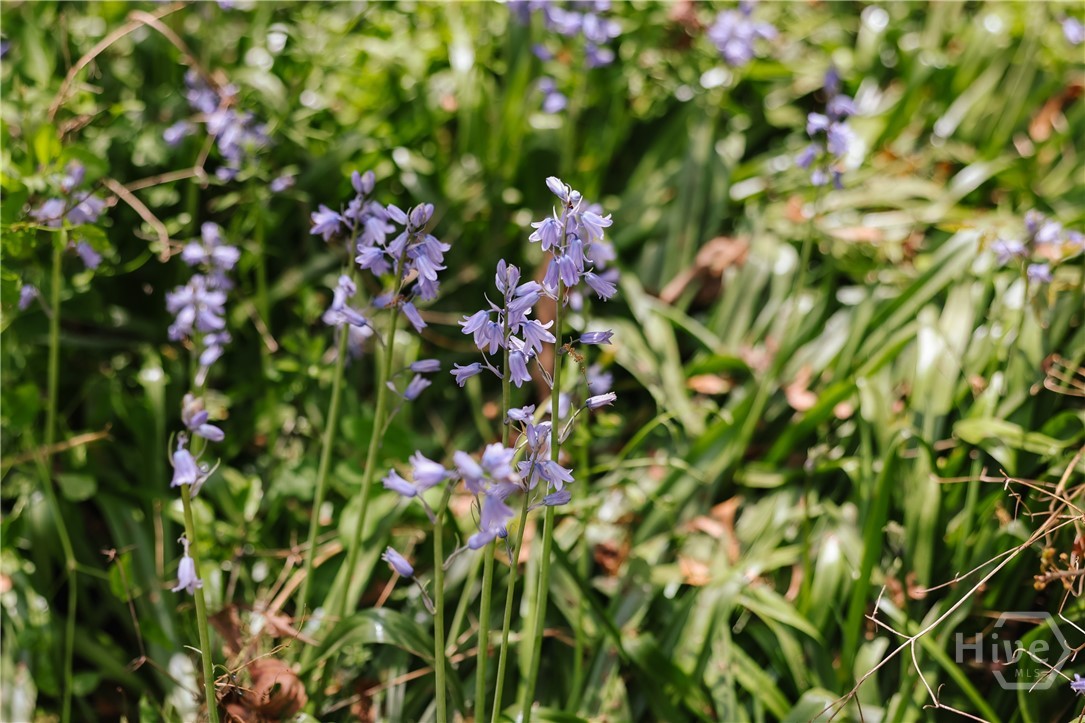 2866 Booger Hill Road