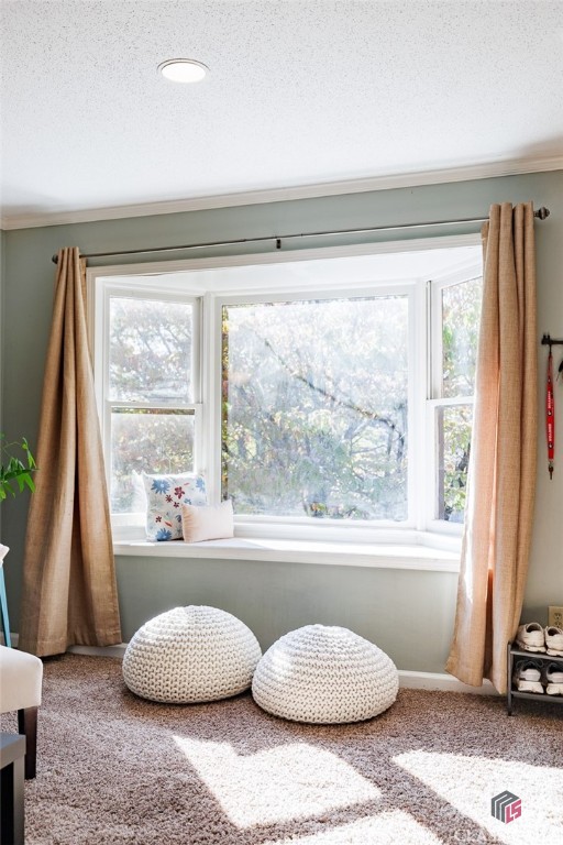 550 Dearing Street 33