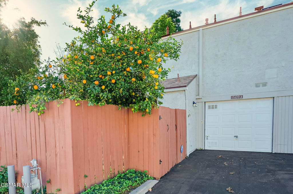 15109 Varsity Street A