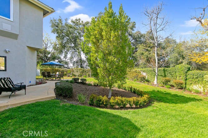 31739 Blue Meadow Lane
