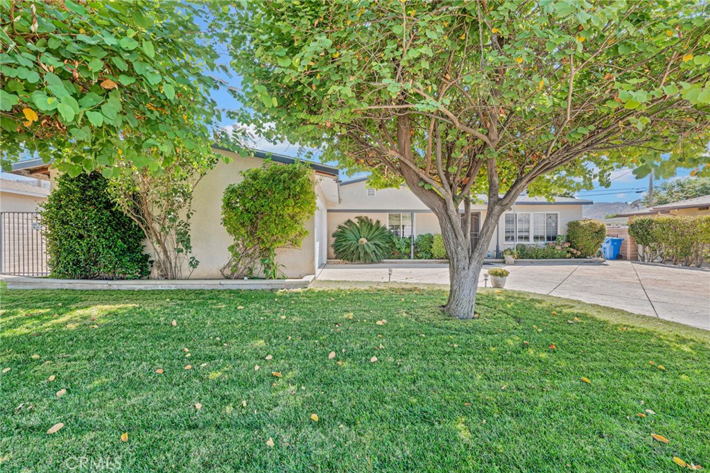 6342 Cynthia Street