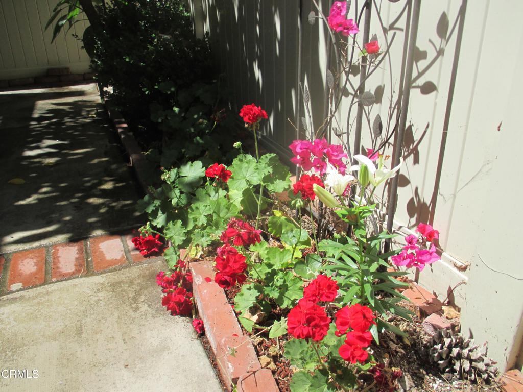 15266 Campus Park Drive E