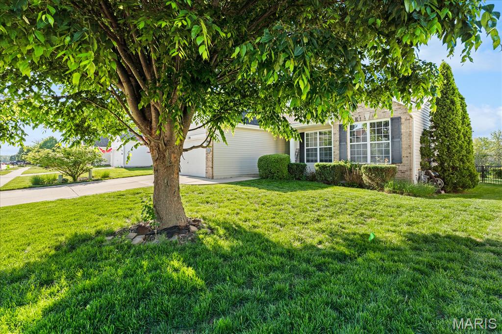 2923 Wye Oak Drive