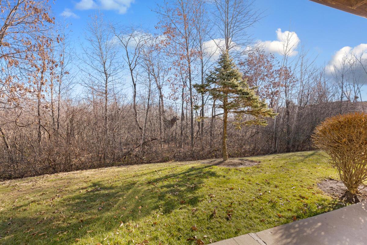 9111 W Elm Court Unit: A