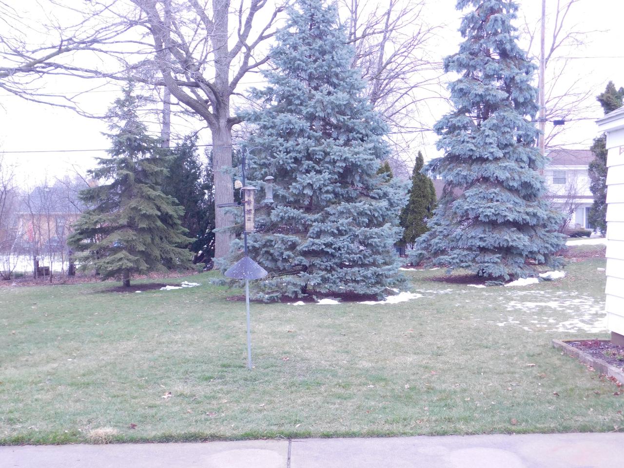 7732 West Cleveland AVENUE