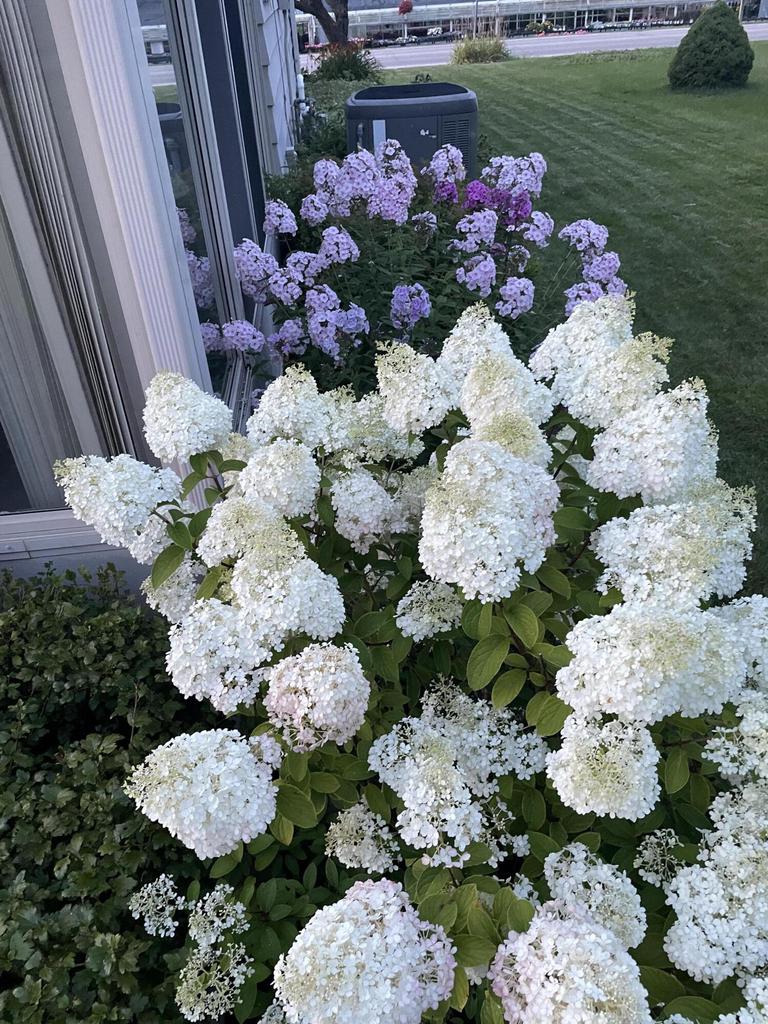 814 East Wisconsin AVENUE