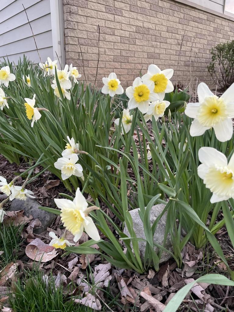 814 East Wisconsin AVENUE