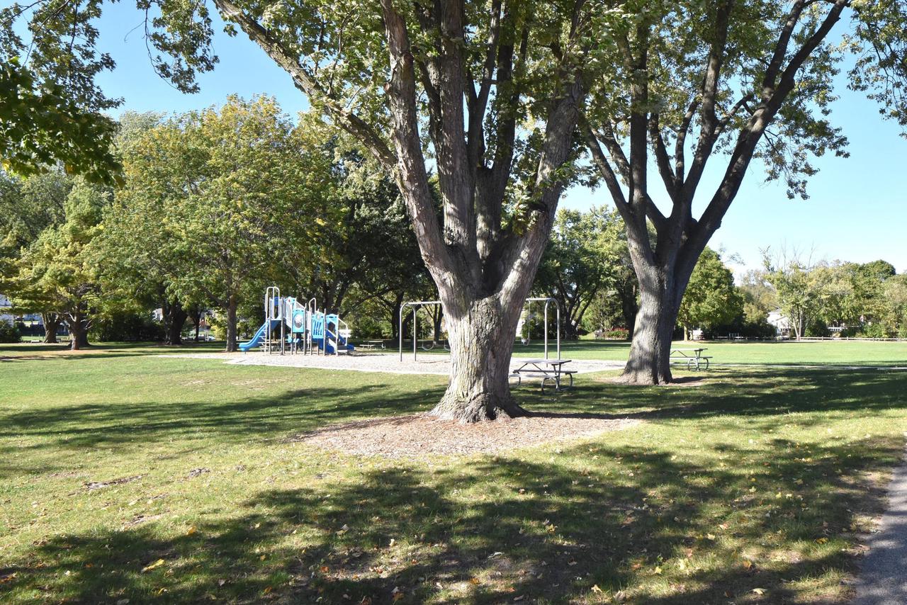 W180S6575 Hardtke DRIVE