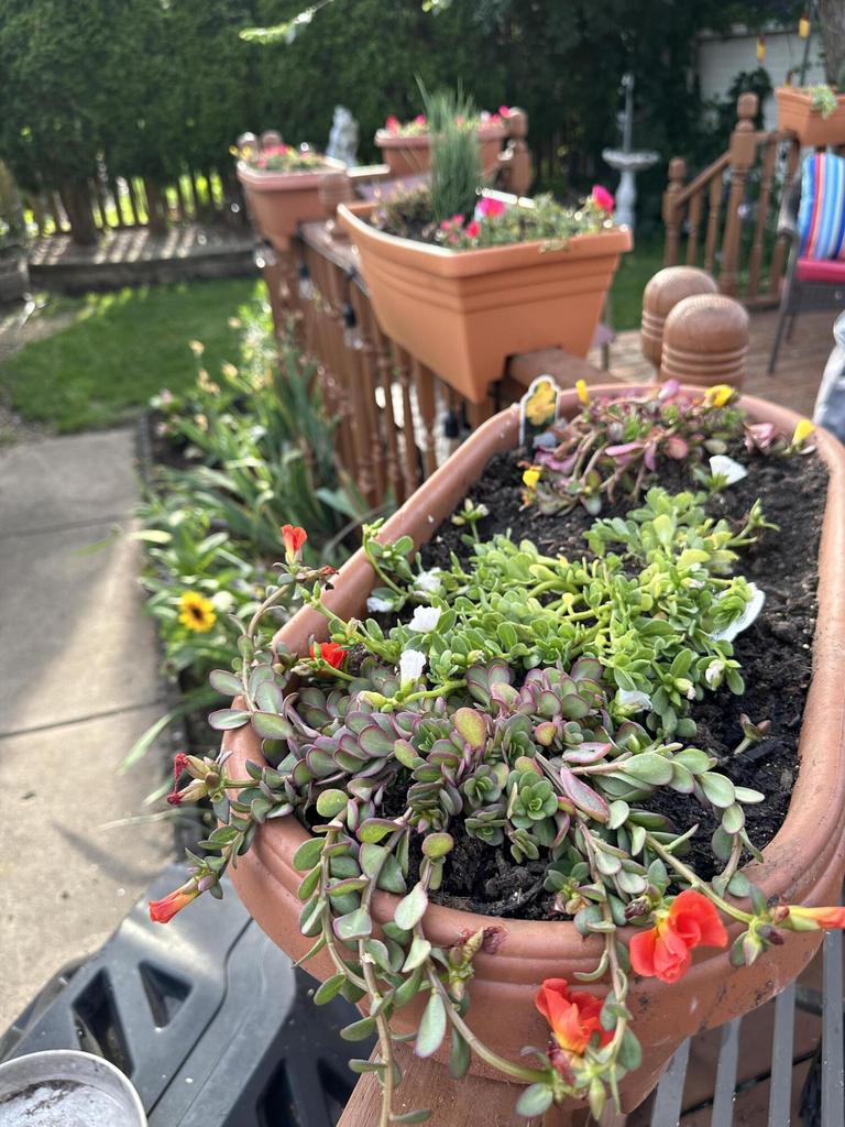 2327 North 73 STREET