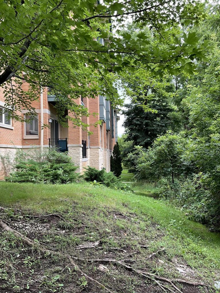 15295 West Library LANE 306