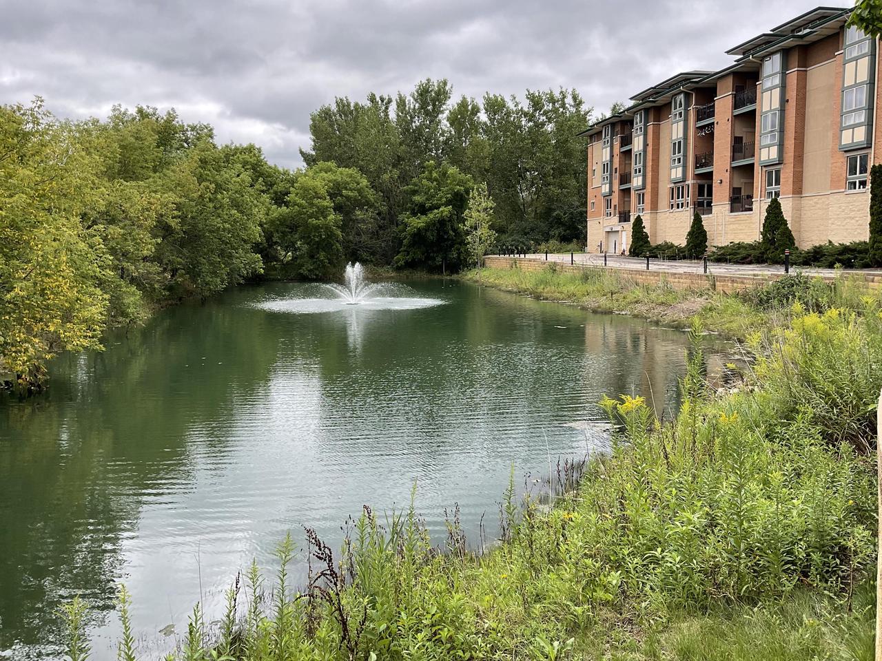 15295 West Library LANE 306