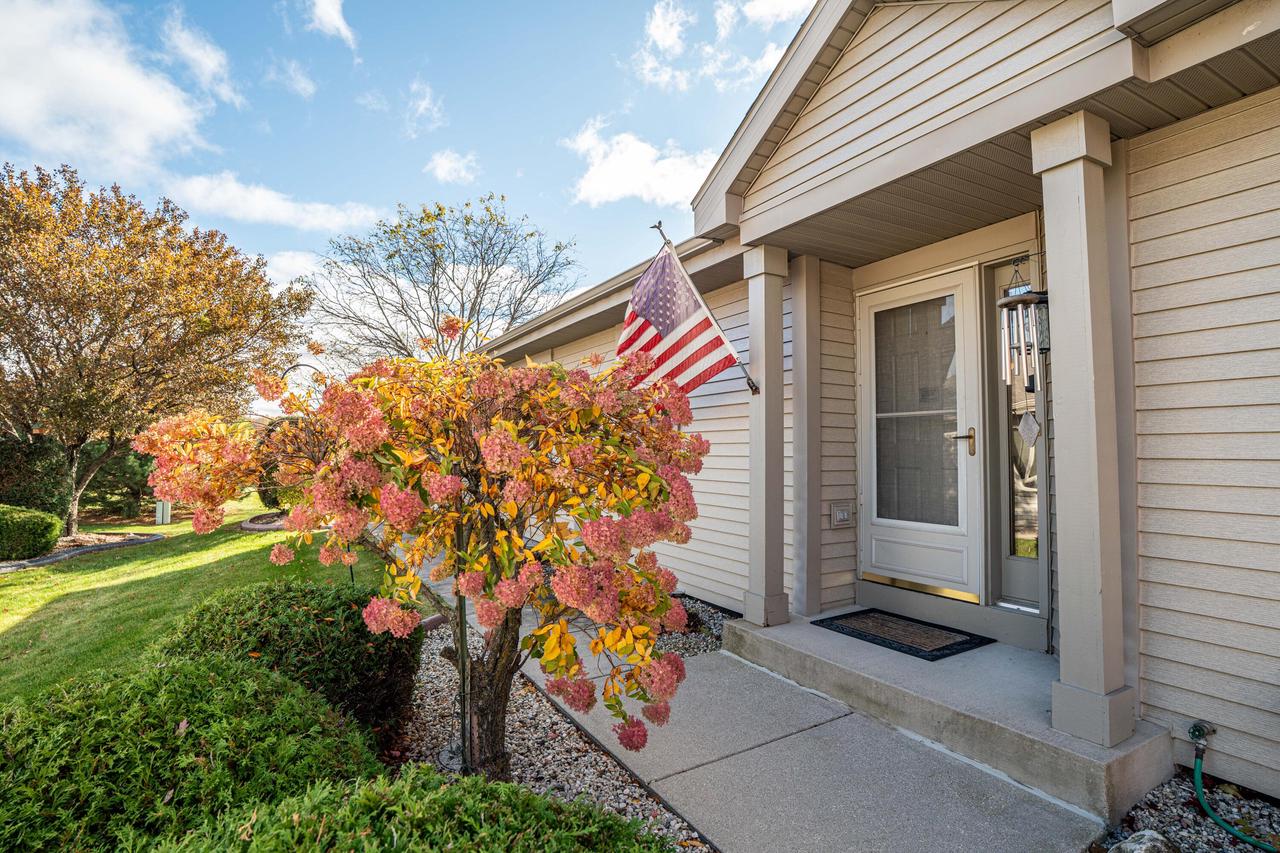 W175N8080 Robin CIRCLE