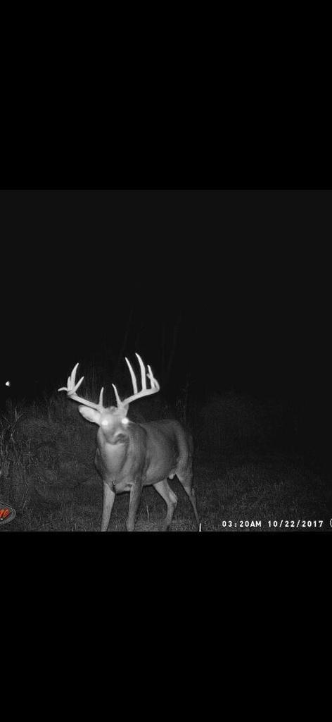 W179S8246 Pioneer DRIVE