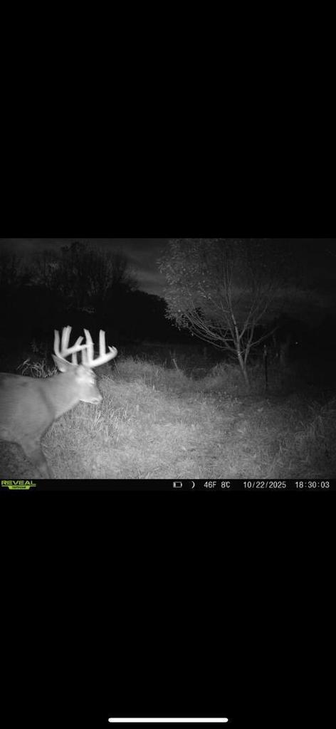 W179S8246 Pioneer DRIVE