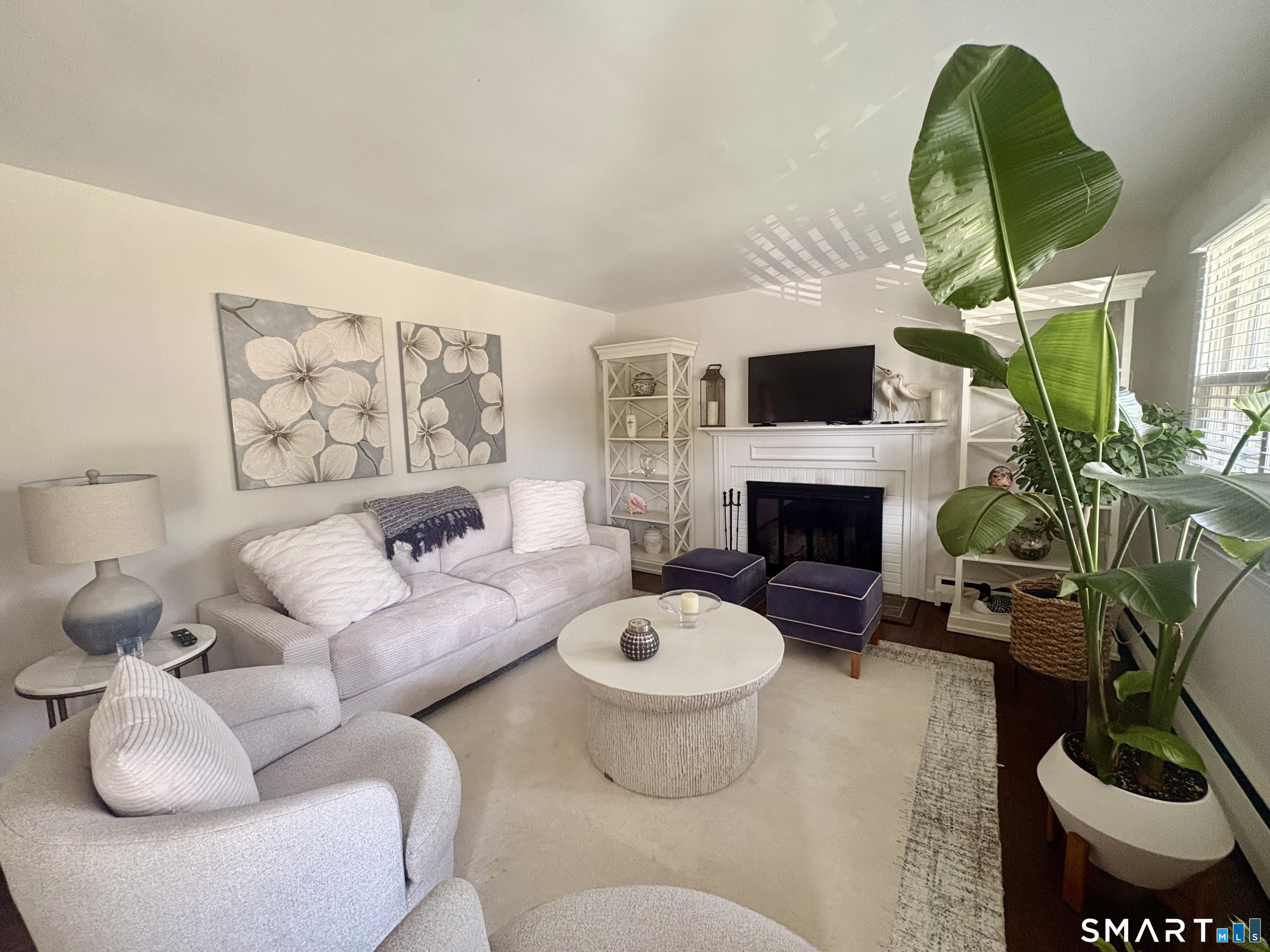 111 Mayweed Road