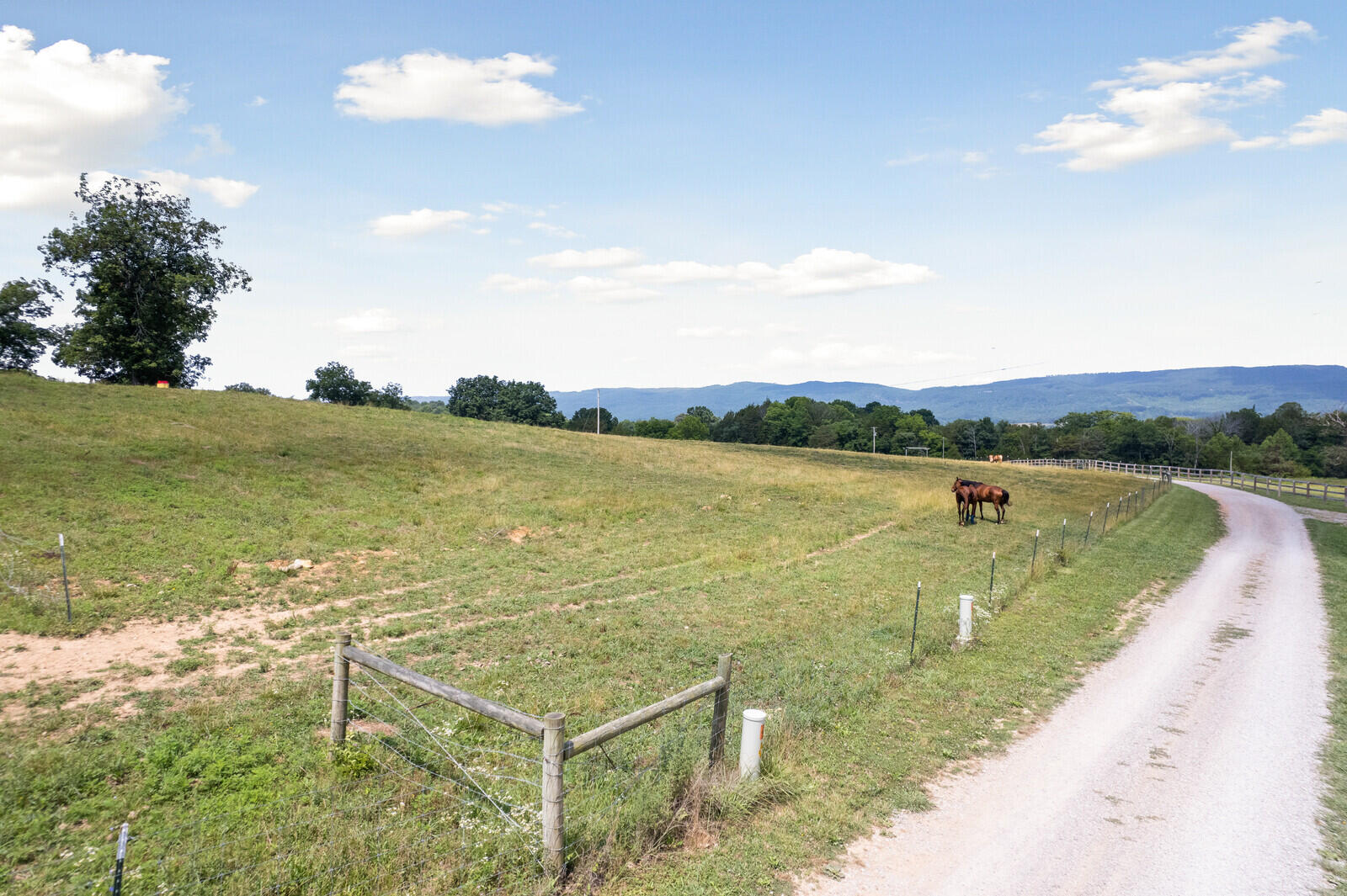 360 Lucky D Farm Road, (In Part)
