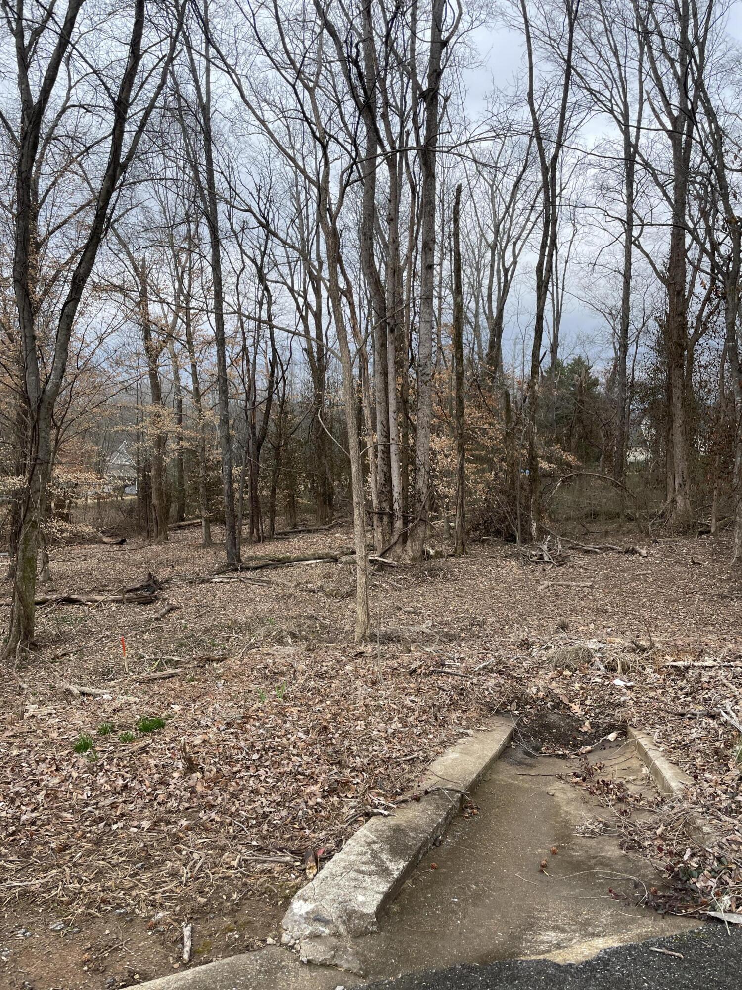 1800 Apple Orchard Trail