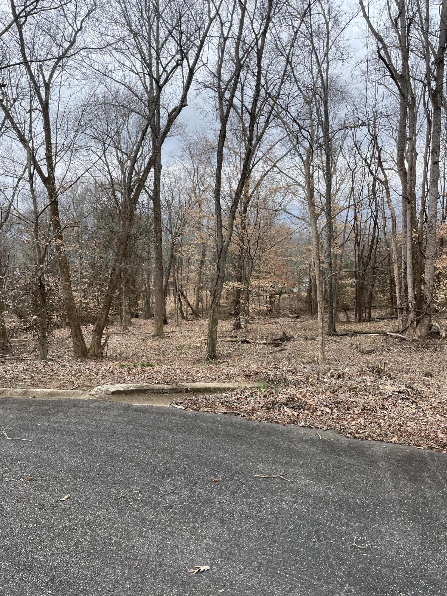 1800 Apple Orchard Trail