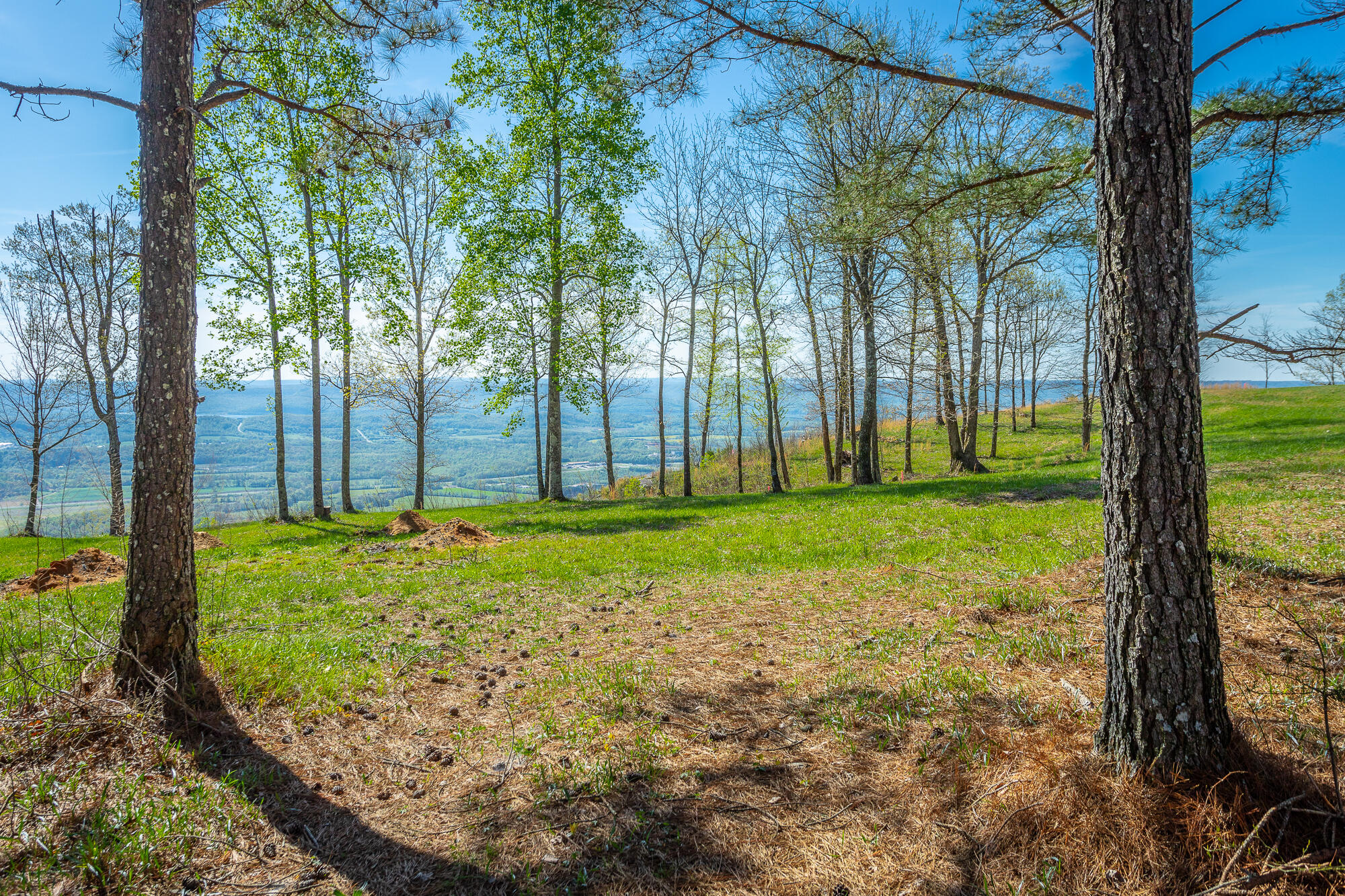2740 River Bluffs Drive