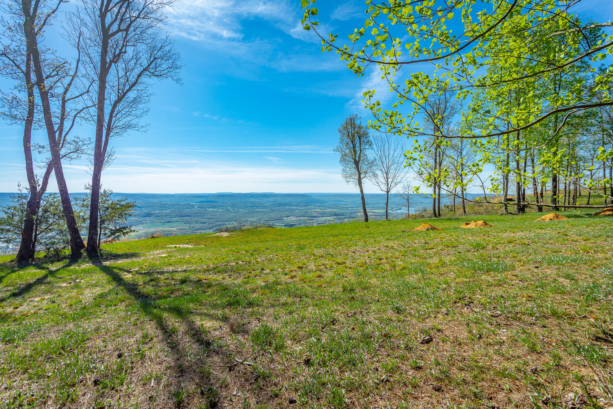 2740 River Bluffs Drive