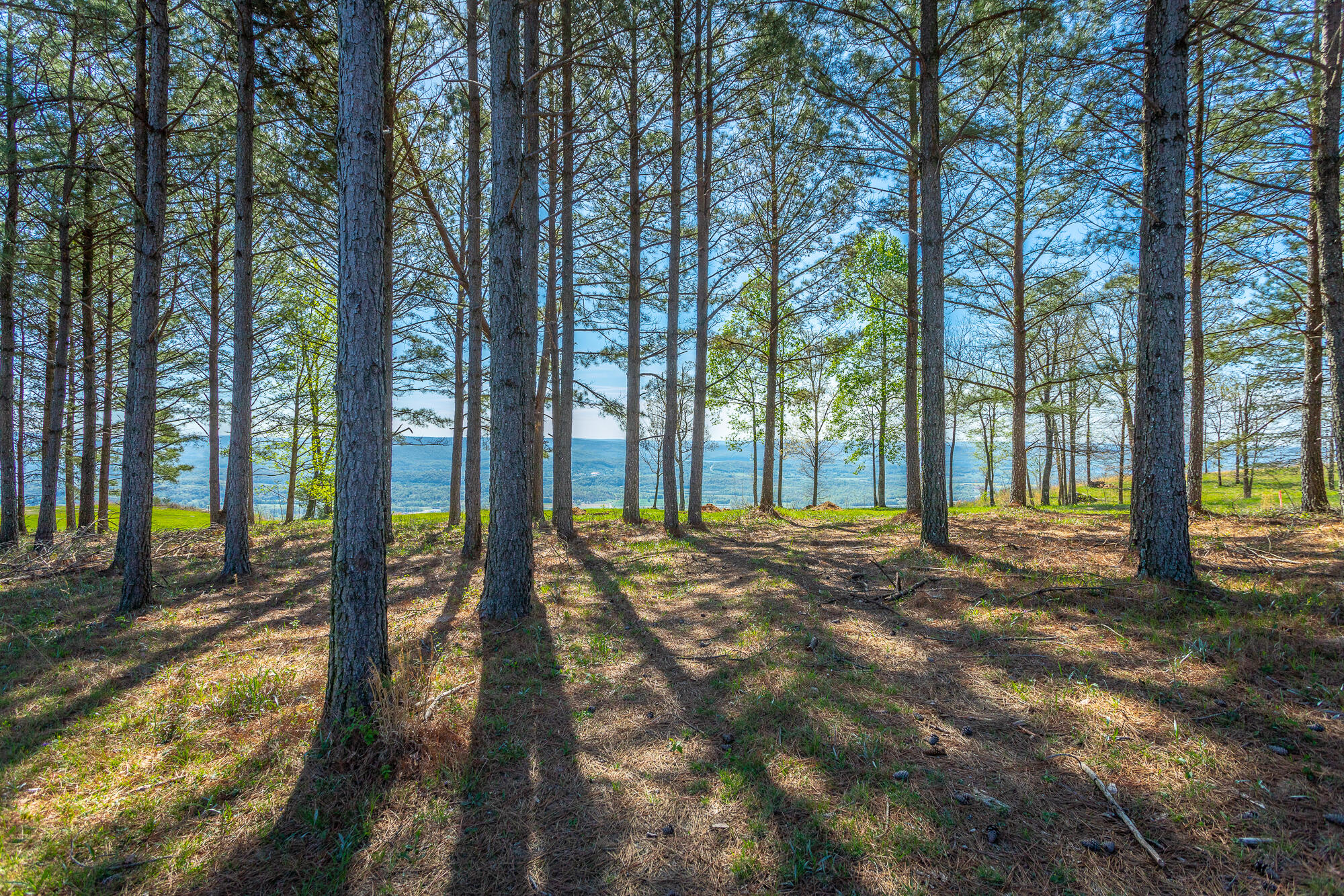 2740 River Bluffs Drive